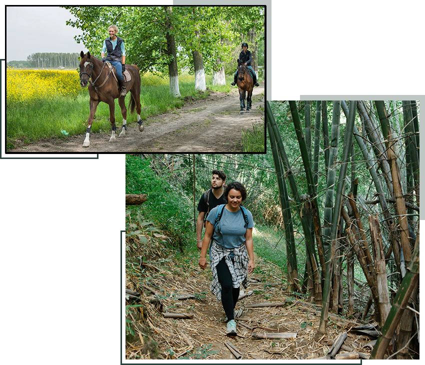 A couple of people riding horses on top of a trail.