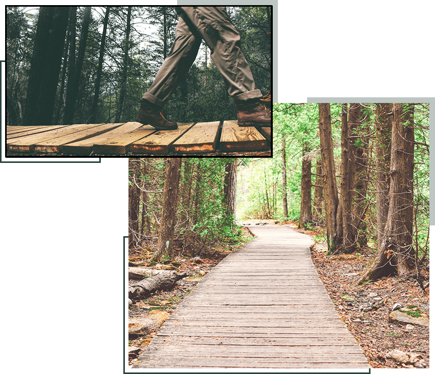 A person walking on a wooden path in the woods.