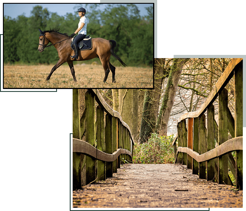 A person riding on the back of a horse.