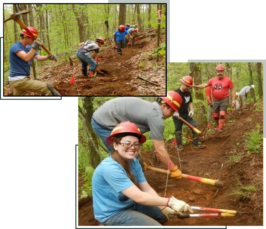 A group of people in the woods working on a trail.